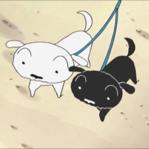 lloveat's tweet image. 으하하㉻하하㉻하하㉻하하㉻하하㉻하하㉻하하㉻하하㉻하하㉻하하㉻하하㉻하하㉻하하㉻하하㉻하하㉻🤍🖤🤍🖤🤍🖤🤍🖤🤍🖤🤍🖤
아니 근디 깜룡이(흑룡이? 탄룡이?) 진짜 너모 
코여버... 엄청 뚱띵하고 복슬복슬햐 🥺