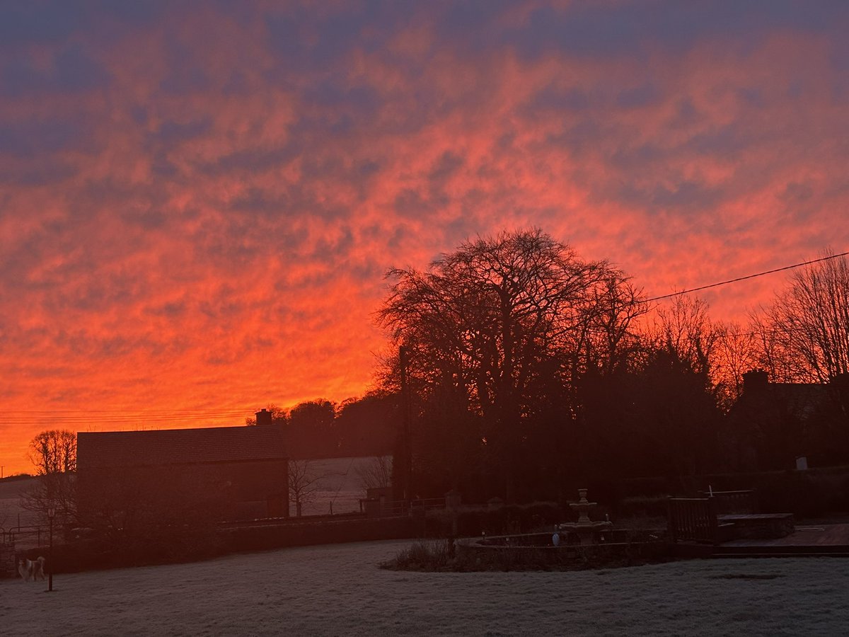 Breeda Breen tweet media