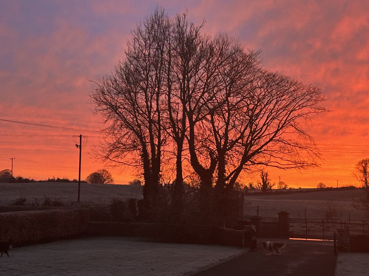 Breeda Breen tweet media