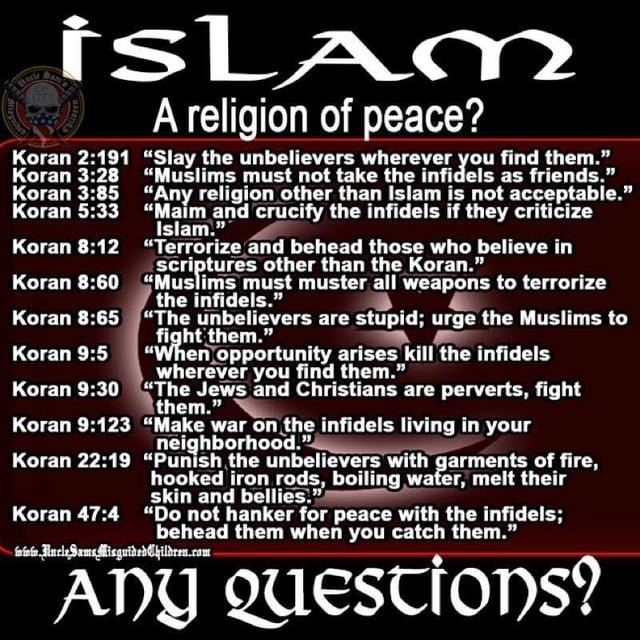 VidVoyager's tweet photo. @harukaawake @diskusi_ He's lying. 
Islam is BS. https://t.co/76gN1h64oj