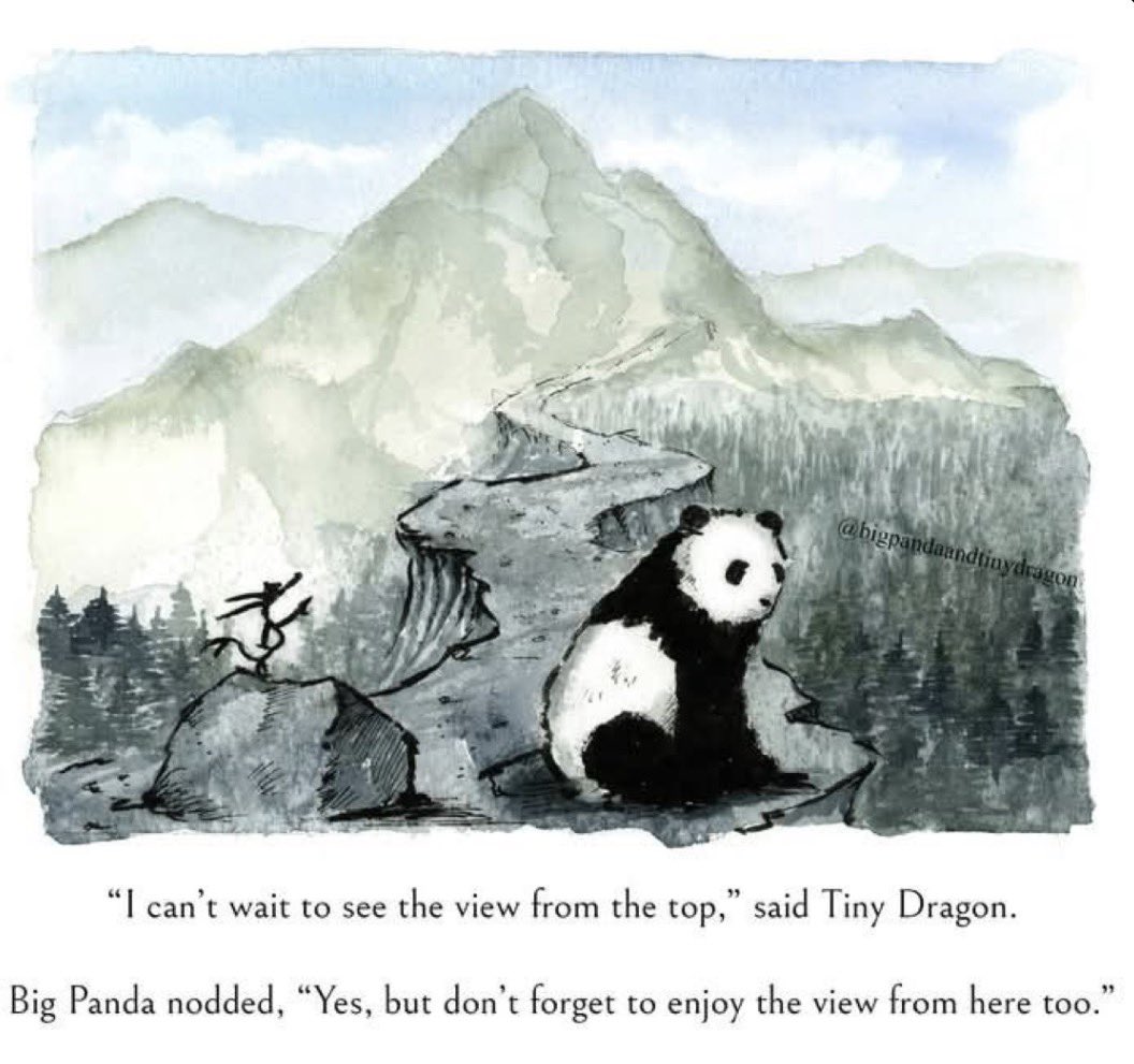 Zehra 🦢 tweet media