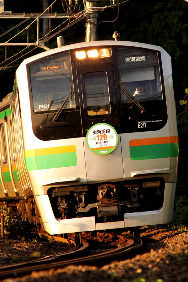 nyaoske's tweet photo. #E217系の日 https://t.co/HejBB7Zvye