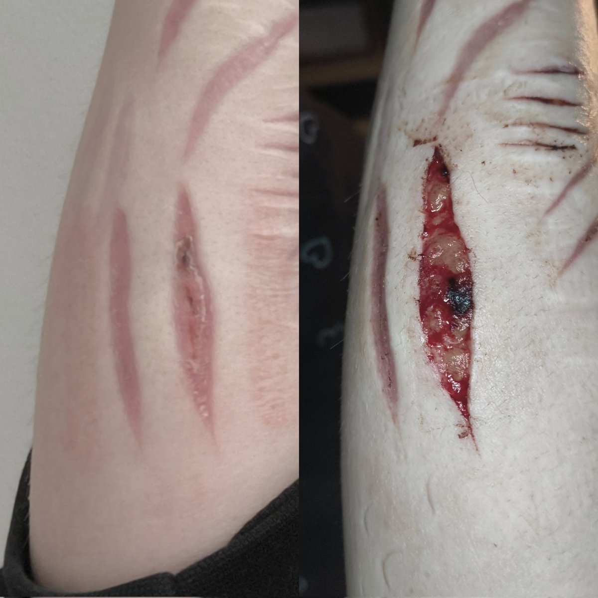 Shrinkage of my beans cut