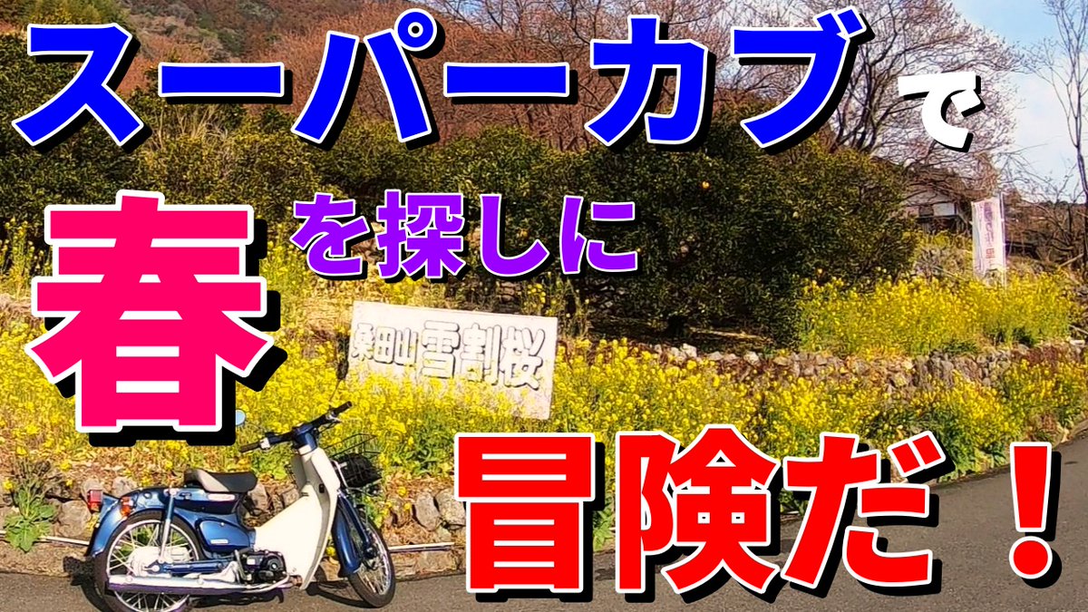 スーパーカブで春を探して冒険だ！ youtu.be/xqNy5C5NfLE?si… <a href="/YouTube/">YouTube</a>より
