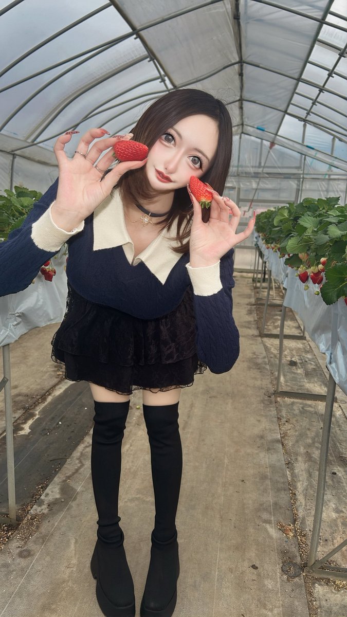 🍓🍓🍓🍓🍓🍓