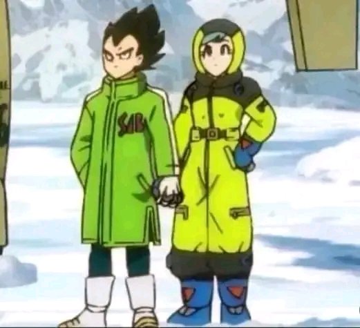 Vegeta’s biggest flex will always be bagging a billionaire shorty while being homeless and having no job💀