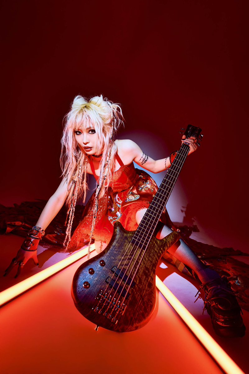 Wakazaemon/わかざえもん (@waka_lh) / Posts / X