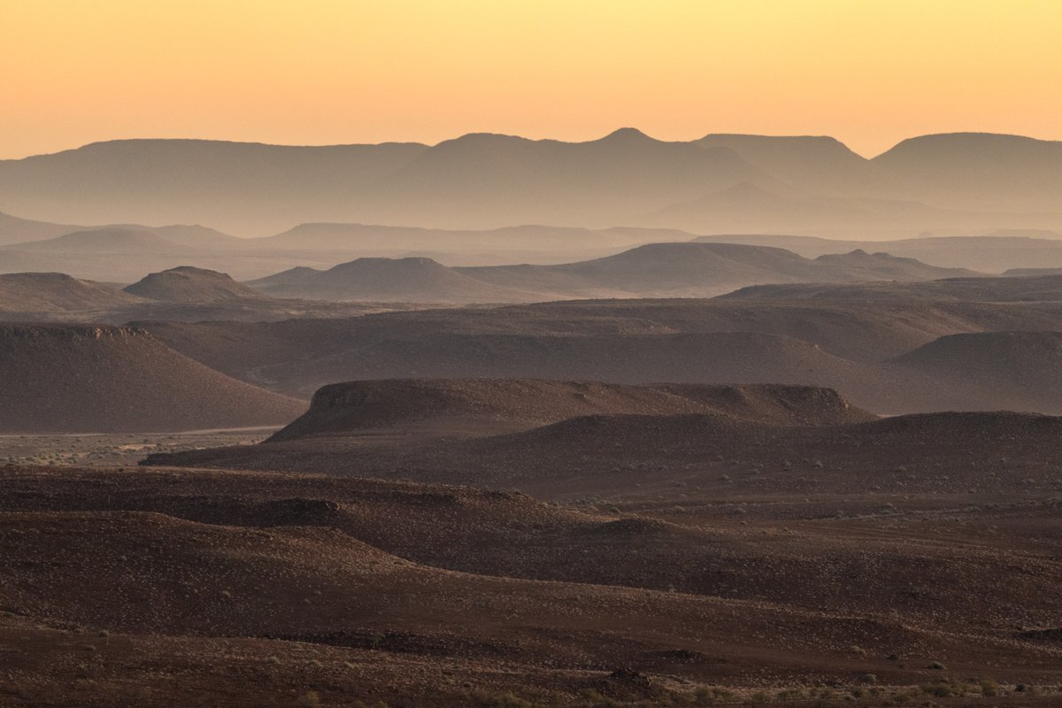 Save the Rhino Trust tweet media