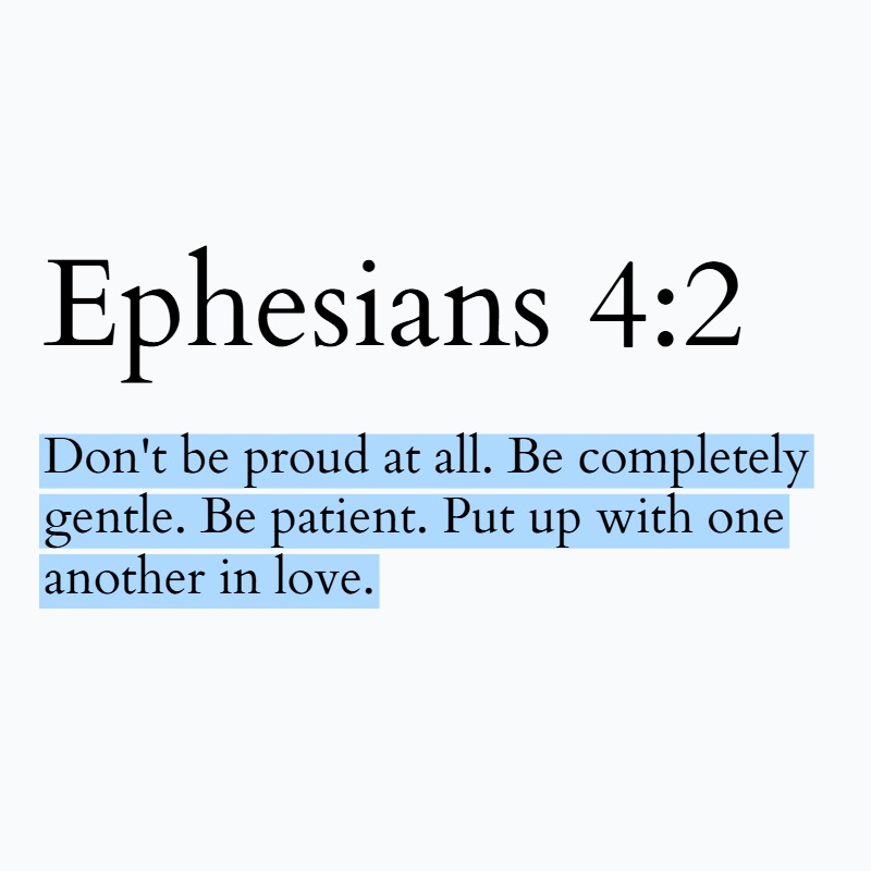 Holy Bible tweet media