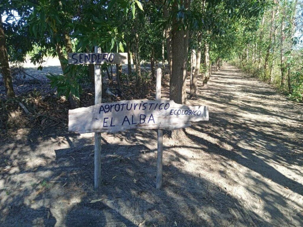 Actualización: Desarrollan Taller Ecológico con productores pineros. radiocaribe.icrt.cu/2026/02/17/des…
<a href="/DiazCanelB/">Miguel Díaz-Canel Bermúdez</a> <a href="/DrRobertoMOjeda/">Dr. Roberto Morales Ojeda</a> <a href="/PartidoPCC/">Partido Comunista de Cuba</a>