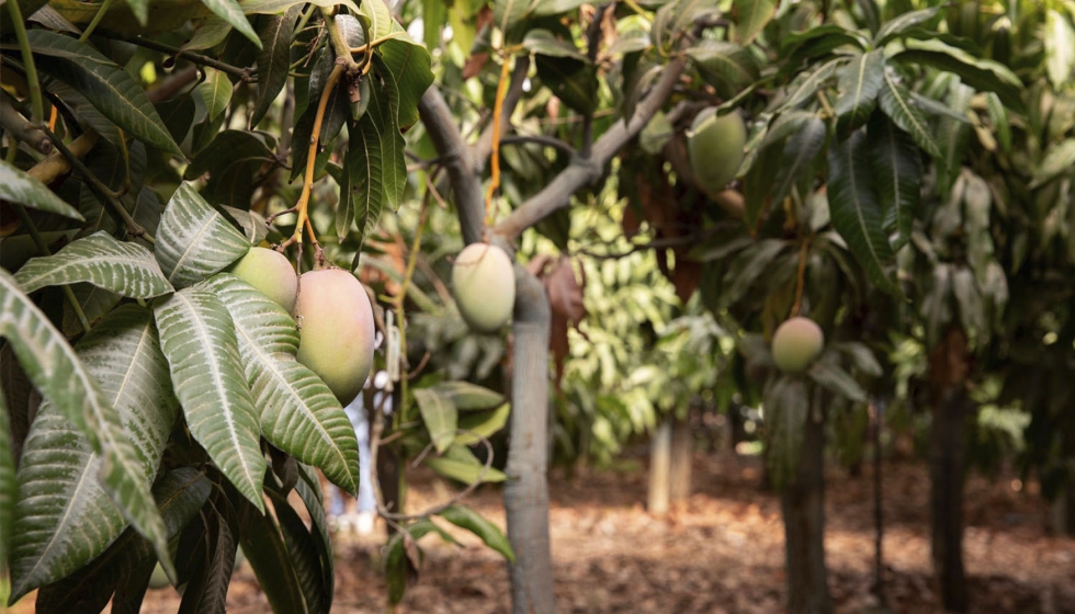 Aitiip Centro Tecnológico tweet media