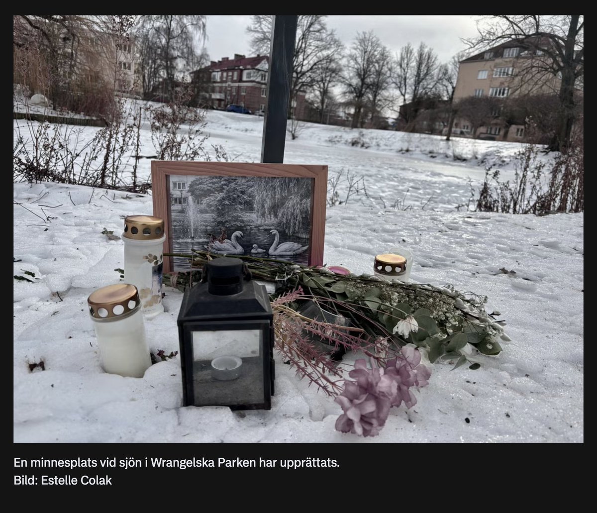 Det här är då alltså för en svan som har dött i en park i Landskrona. SKÄRP ER