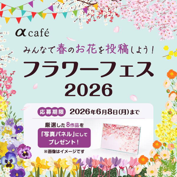 αcafe】春のお花を投稿しよう！フラワーフェス2026を開催中。厳選した8