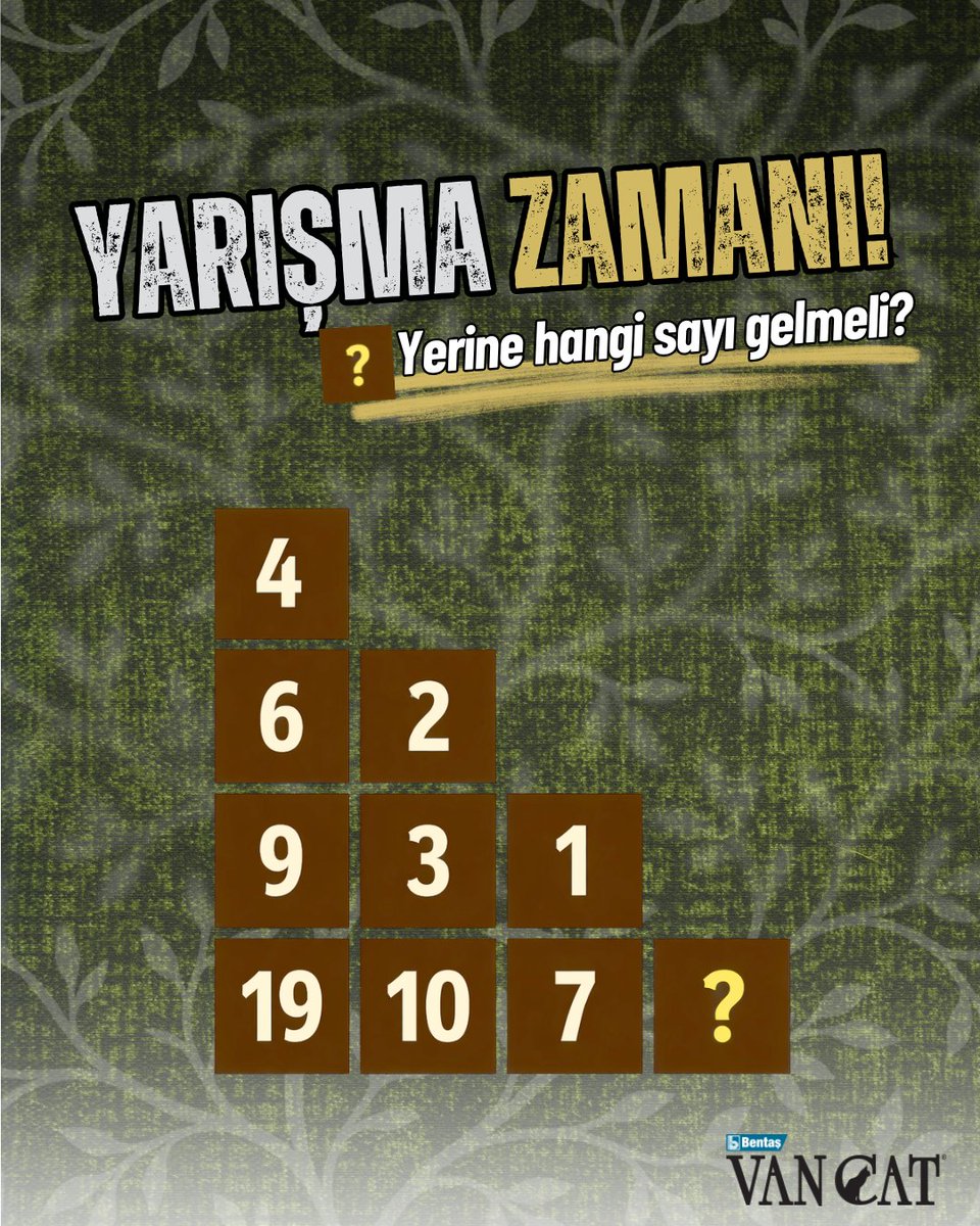 VanCat Türkiye tweet media