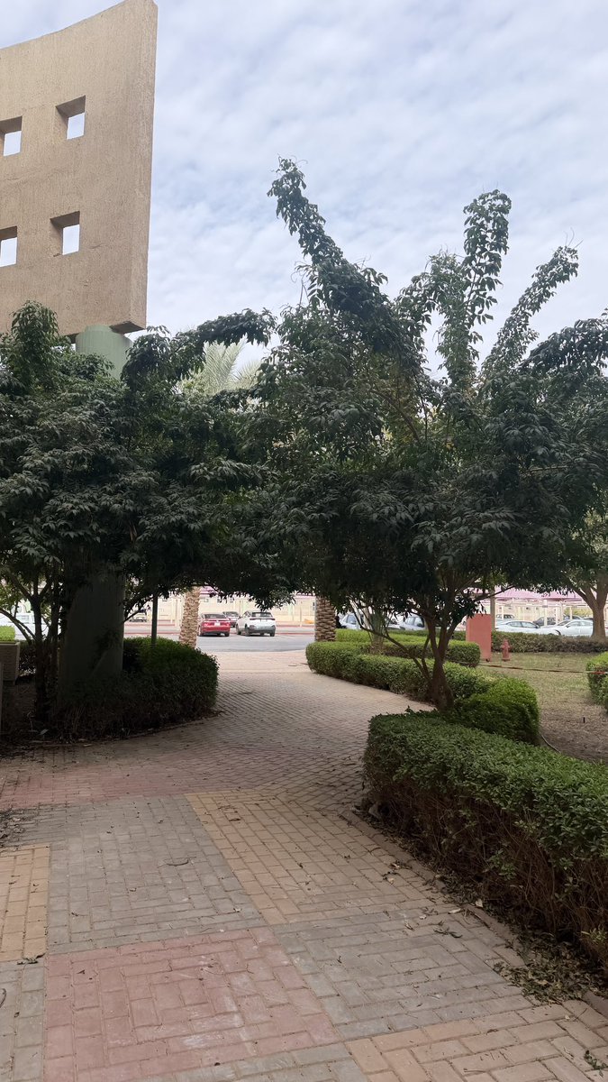 xfmra56's tweet photo. بريك نص ساعه بنسبه لنا طويل نروح نتحلى بالكليه الي جنبنا 
يعني تغير جو وكذا https://t.co/oWOJZqyF0Z