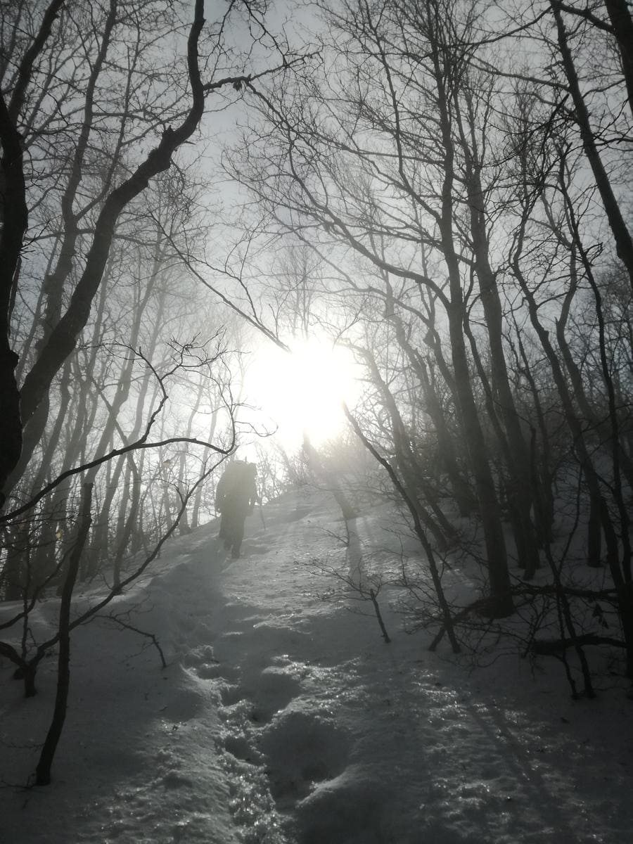 sentieripollino's tweet image. #BiancoENero, neve e nebbia.
#Escursionisti che avanzano lungo il sentiero nel bosco, dove il silenzio detta il ritmo e la #montagna si lascia intuire più che vedere.

Foto ©Francesco Morello
Altre foto dell’escursione:
 isentieridelpollino.it/fotografie-vet…

#Trekking #Inverno #Pollino