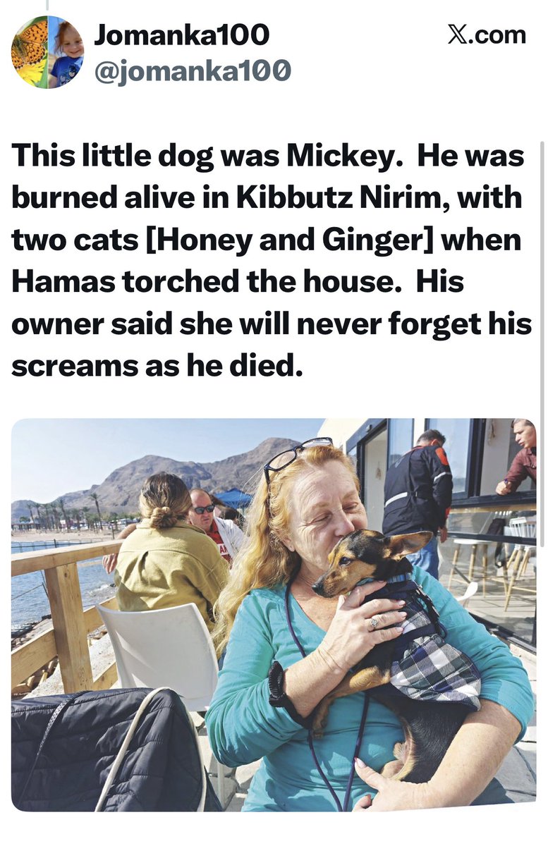 Mickey was just a little fellow - burned alive by Hamas on 7 October 2023 💔🇮🇱