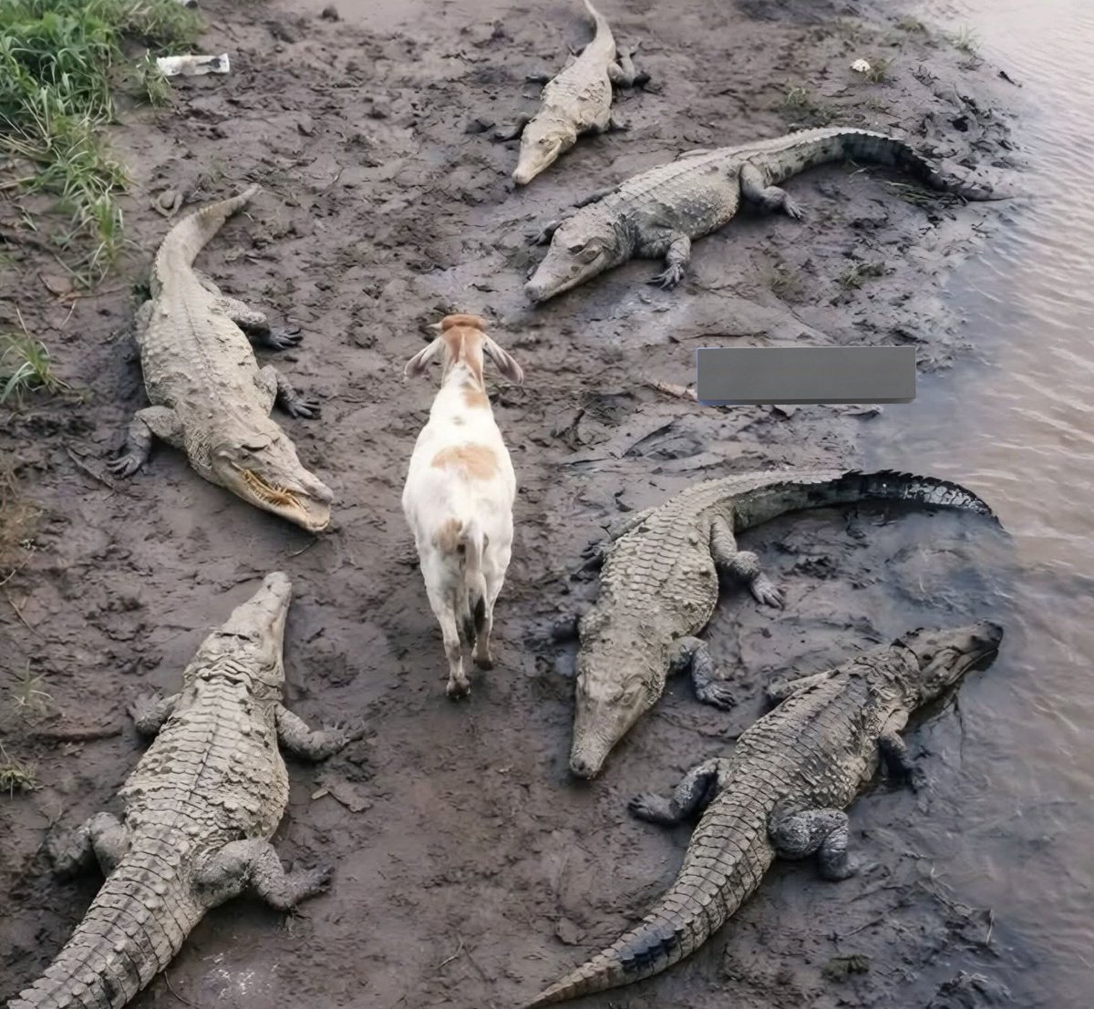 When you live in a dangerous🔥 neighborhood, but you know everyone 😎✌️