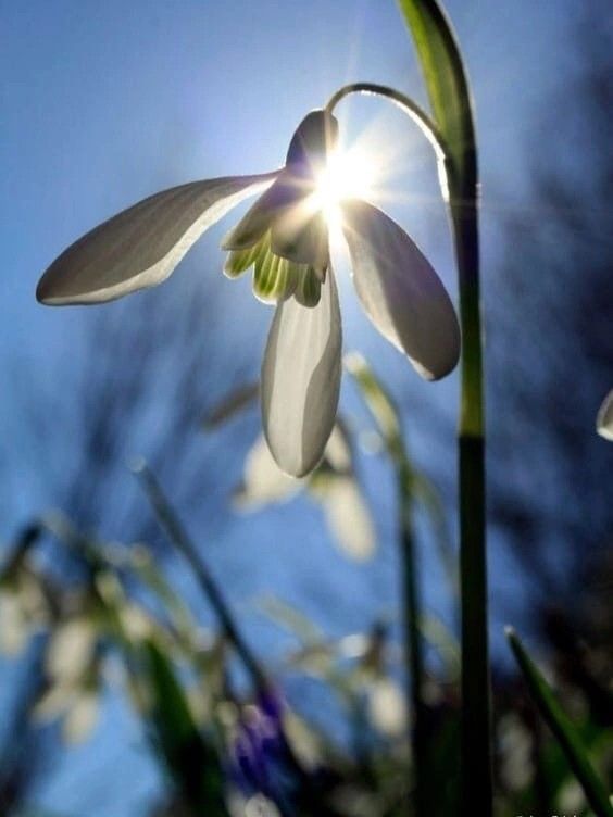 Belle et lumineuse journée !  🤍 🌿 💙