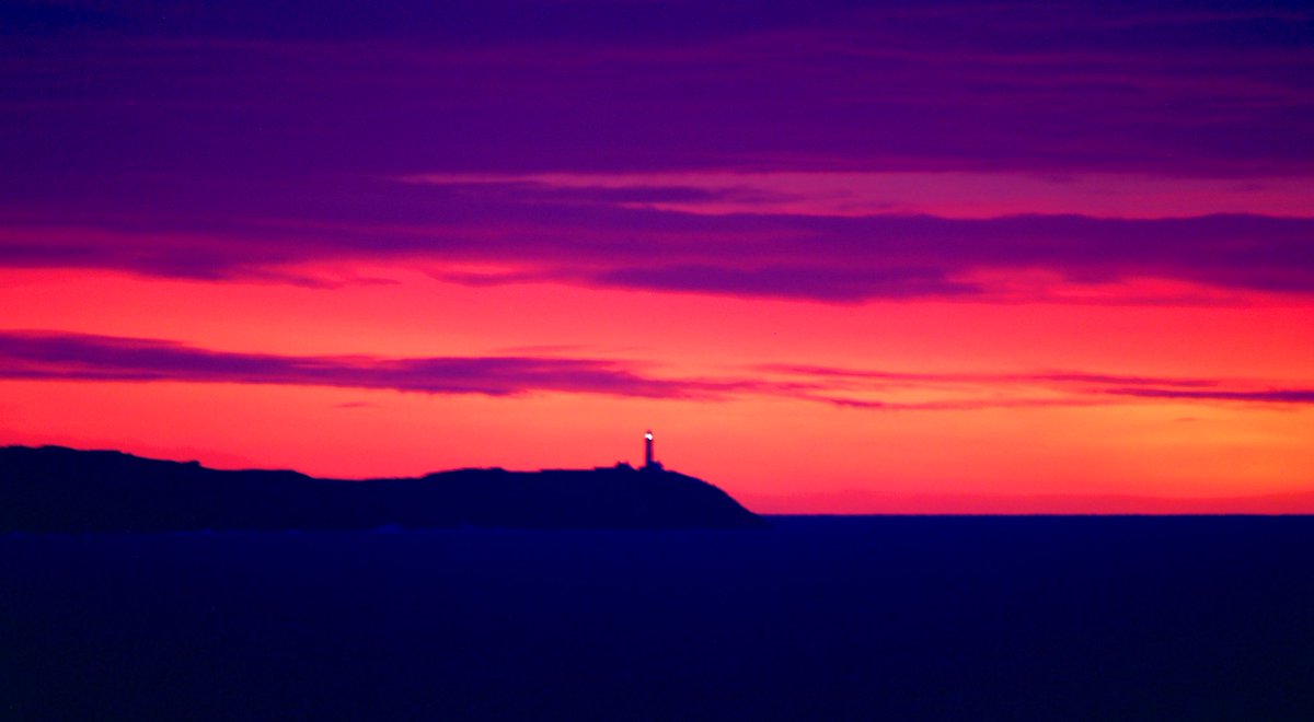 Alan Mac Cárthaigh 🇮🇪 tweet media