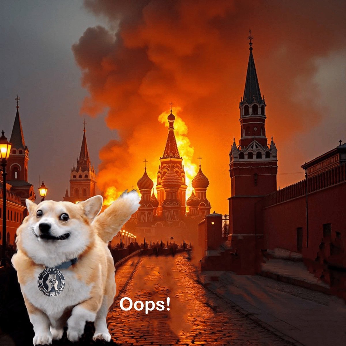 The sister of a friend of mine has just been born chaps, her main is throttled, give her a follow please my friends 🤗❤️🦋
<a href="/NicoletteNAFO02/">Nicolettre Nafo</a>