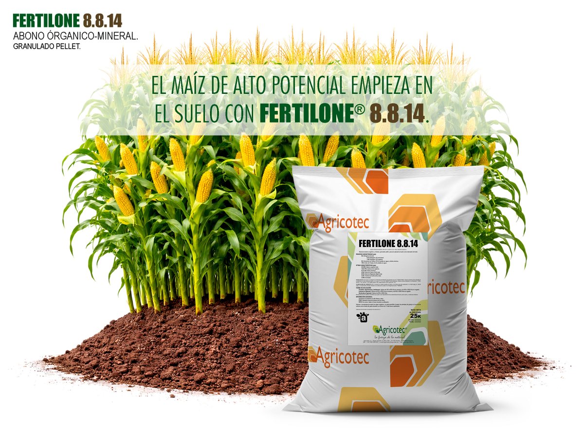 agricotec's tweet photo. El maíz de alto potencial desde el suelo con #Fertilone 8.8.14.

👉🏻 https://t.co/uSWqb8aFLV

🌽 #Maíz
💪🏻 #LaFuerzadeloNatural https://t.co/yUetYzx0Sx