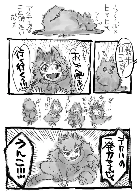 ポメラニアン 
