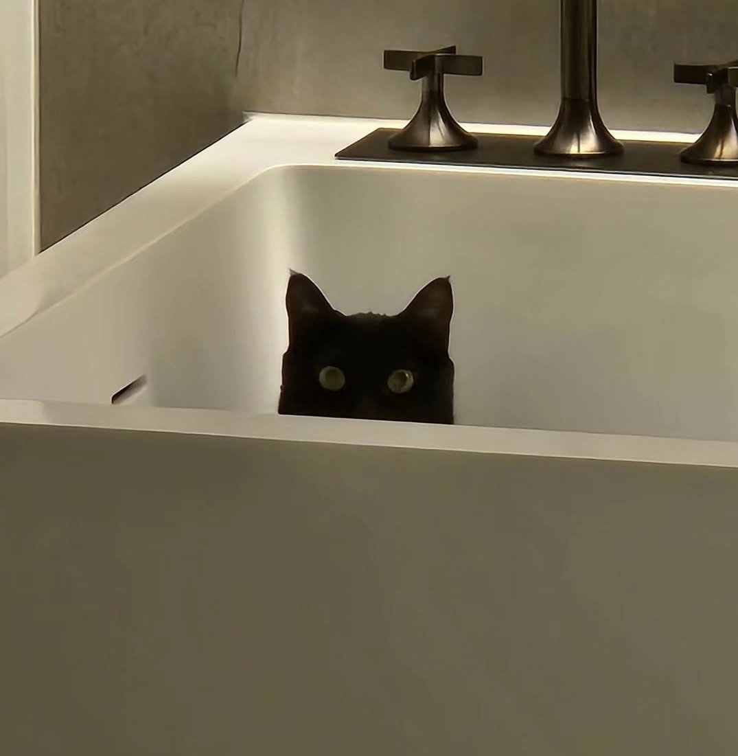 Thanks to tangie we get a glimpse of yoongi's home. Hihi.