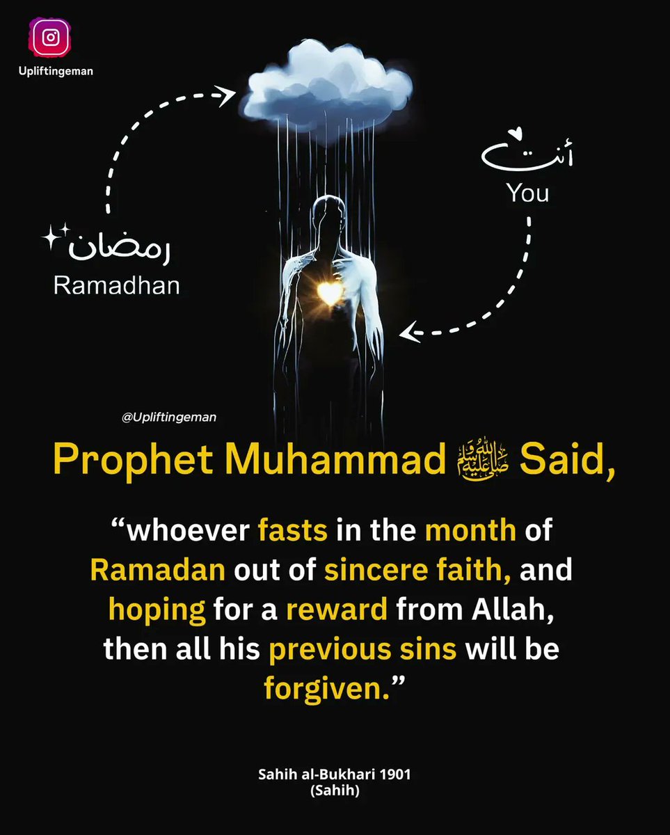 justwantpeace31's tweet photo. Hadith of the day. https://t.co/HWQgJkR0qZ