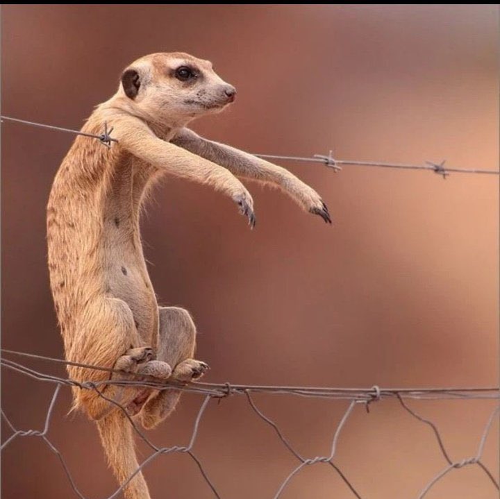 Algorithms run on conditions, these conditions cross-reference core entities (person), change the reference you change the behavior