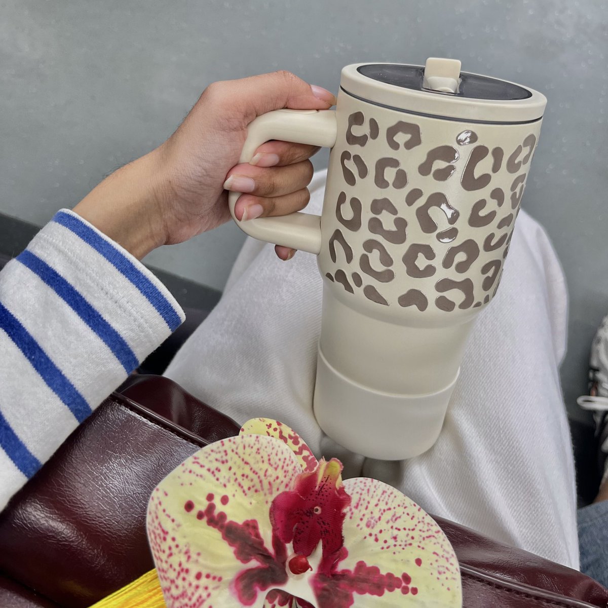 rae ⭐️🍎 tweet media