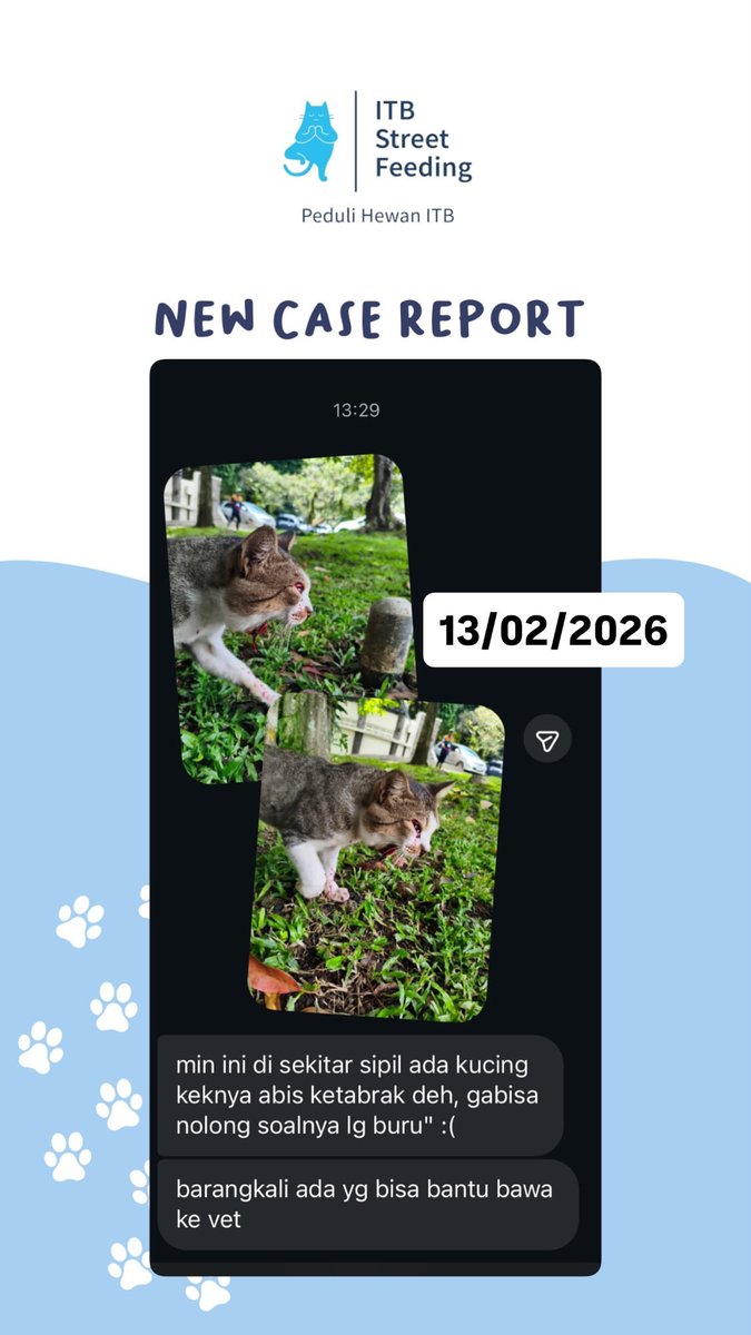 ITBSF's tweet photo. Halo Kak. Mohon bantuan utk lapor ke ITB SF jika lihat kucing ini di sekitar PSDA/Sipil/Bsc A kampus Ganesa.

Blm ketemu smpai skrg. Doakan dia kuat &amp; keluar dari persembunyiannya, biar bisa segera ditolong.

Pet cargo sudh ada di kampus utk bawa kucingnya ke klinik. Trm kasih🙏🏻 https://t.co/SwUuEOHzef