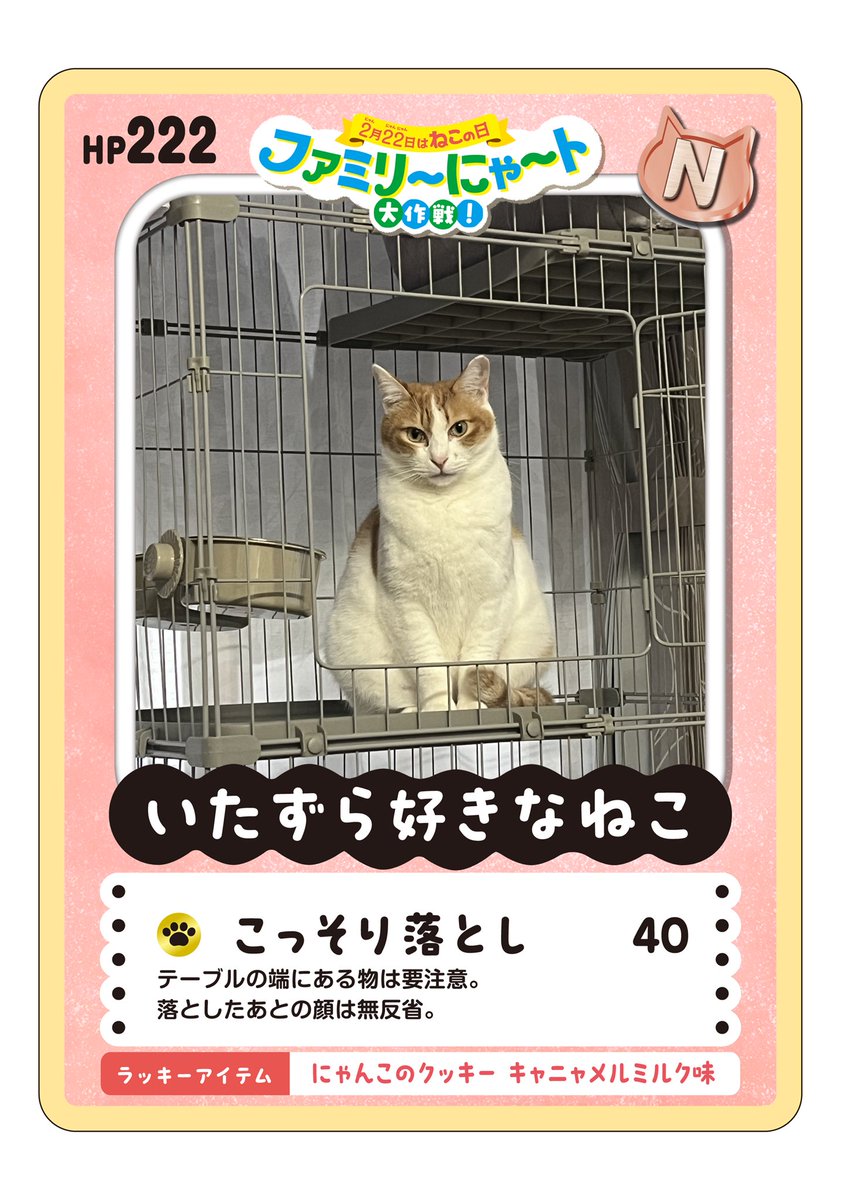 ハ麻コモ (@213coco) / Posts / X