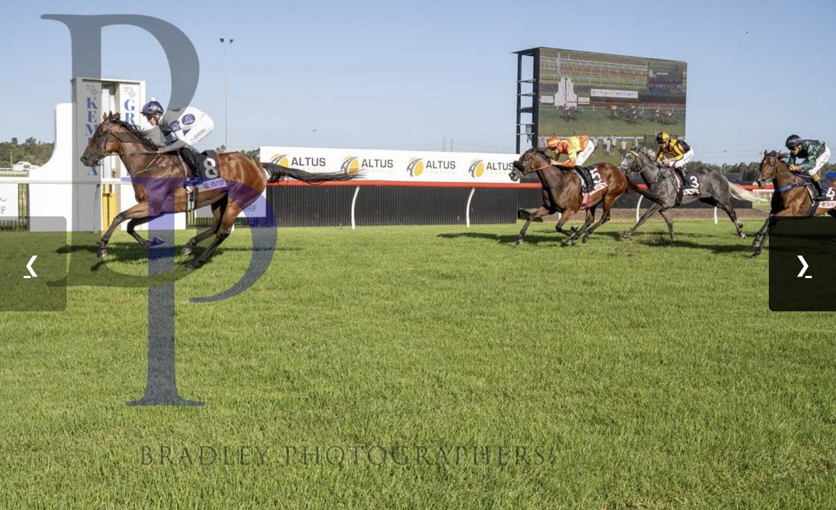 Glenn Gulliver tweet media