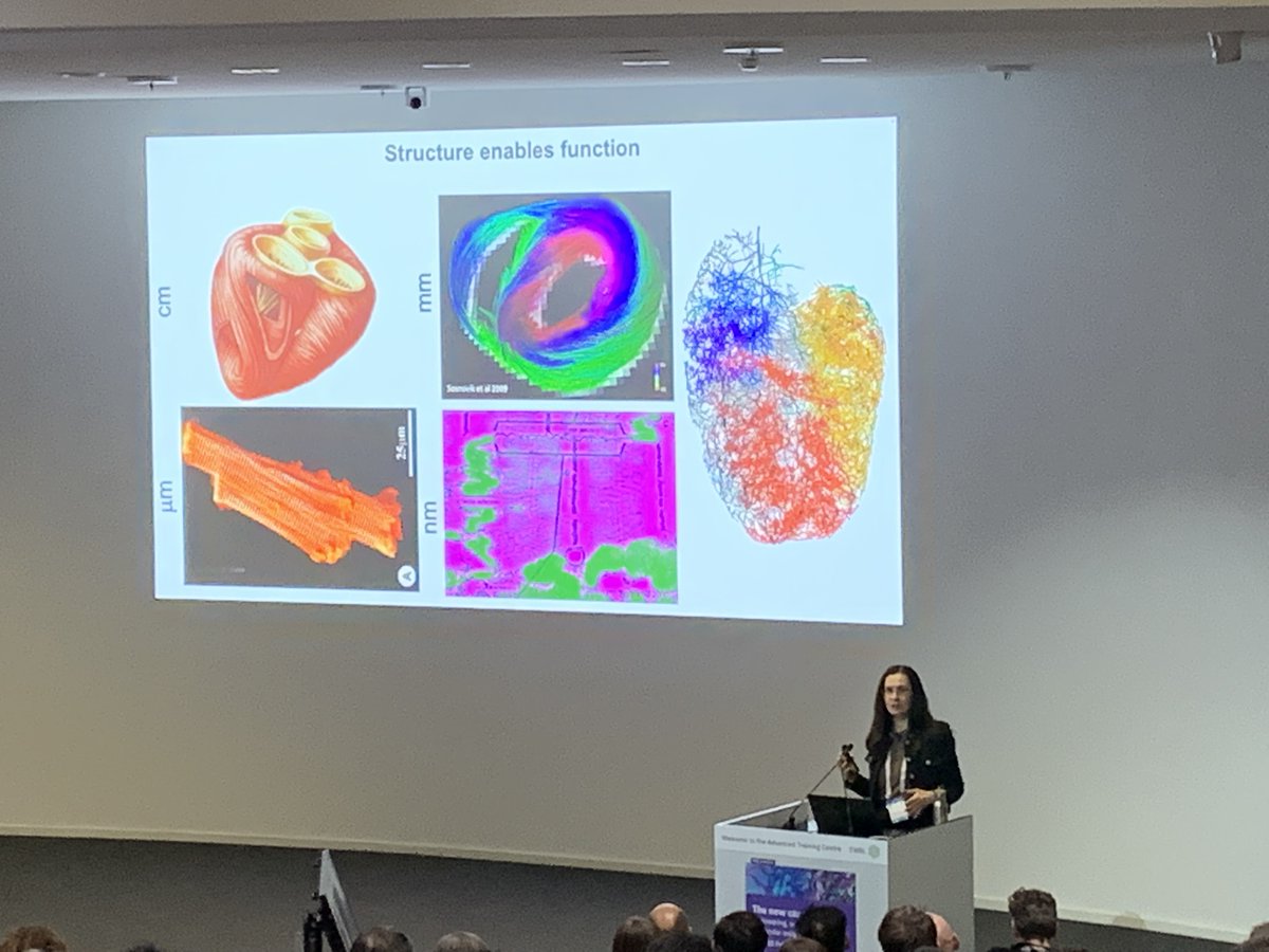 EMBLEvents's tweet photo. Welcome to the first EMBL Conference of this year 🙌  
'The new cardiobiology: engineering, vascular, and molecular insights' is welcoming more than 220 participants at EMBL Heidelberg🫀
 #EMBLCardioBiology https://t.co/Rr6gXlXxB7