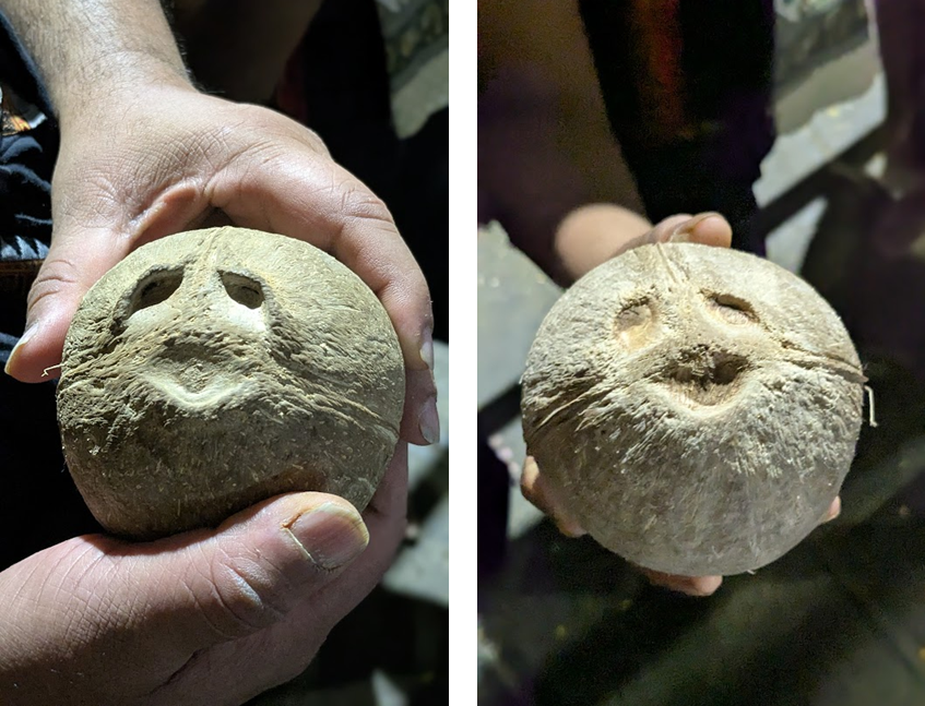 surnell's tweet photo. #Sabarimala As we stood in the queue to ascend the #18HolySteps or #Padettampadi here is some message from Cleaned Coconuts (dehusked) that, I and another co-pilgrim from our team was carrying. This coconut was to be broked at bottom of Holy steps, before we climb them https://t.co/AGEjQn8Dgu
