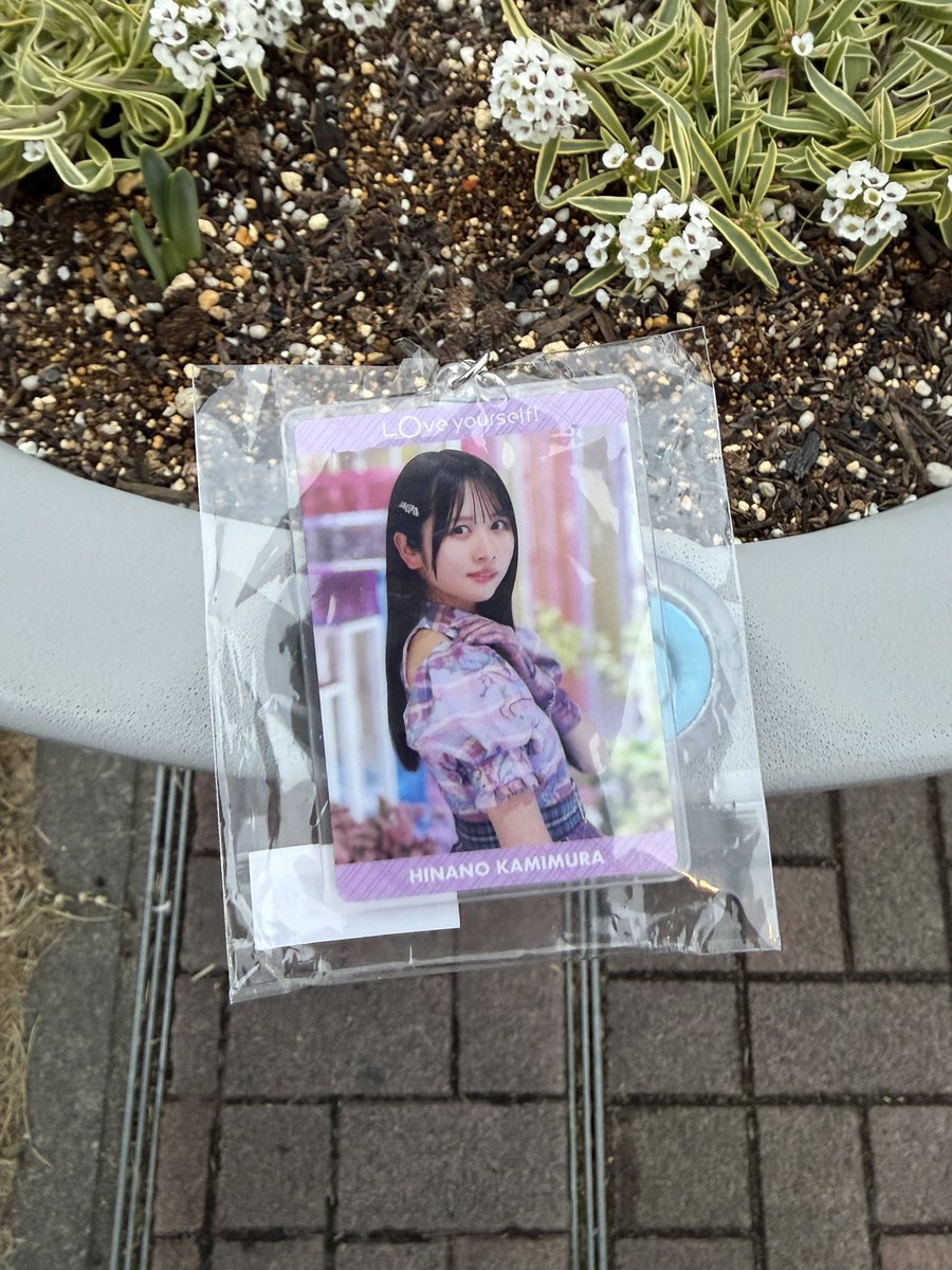 17時ごろ東京テレポート駅近くの公衆トイレ前にて、落ちている上村ひな