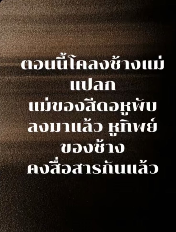 แม่และโขลงคงรับรู้ 
ว่าหูพับได้จากไปแล้ว 🥹🐘🕊️

ขอให้โขลงของแม่ปลอดภัยจาก
สิ่งชั่วร้าย 🙏🏻🍀 🐘🦣

#สีดอหูพับ