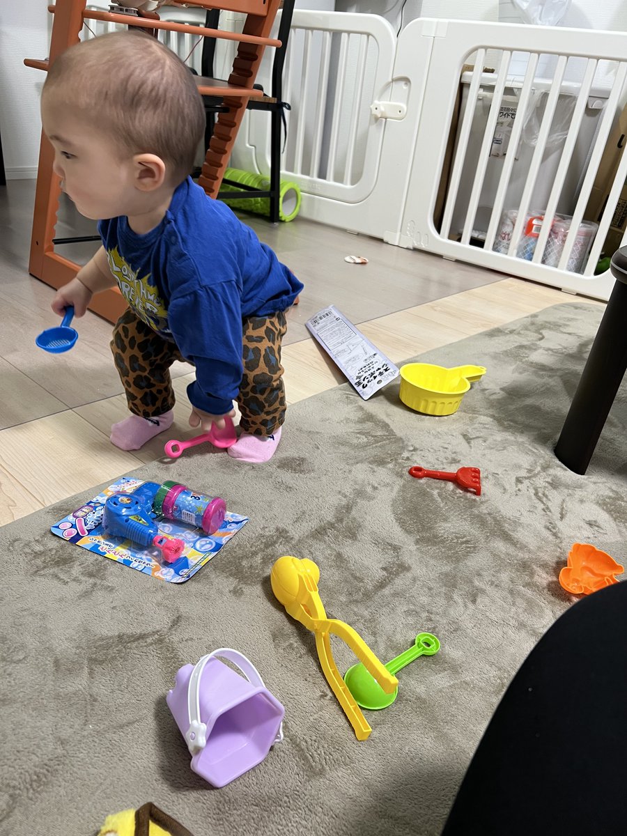 明日このおもちゃ持って公園行こうね って言ったら 玄関の方指差して