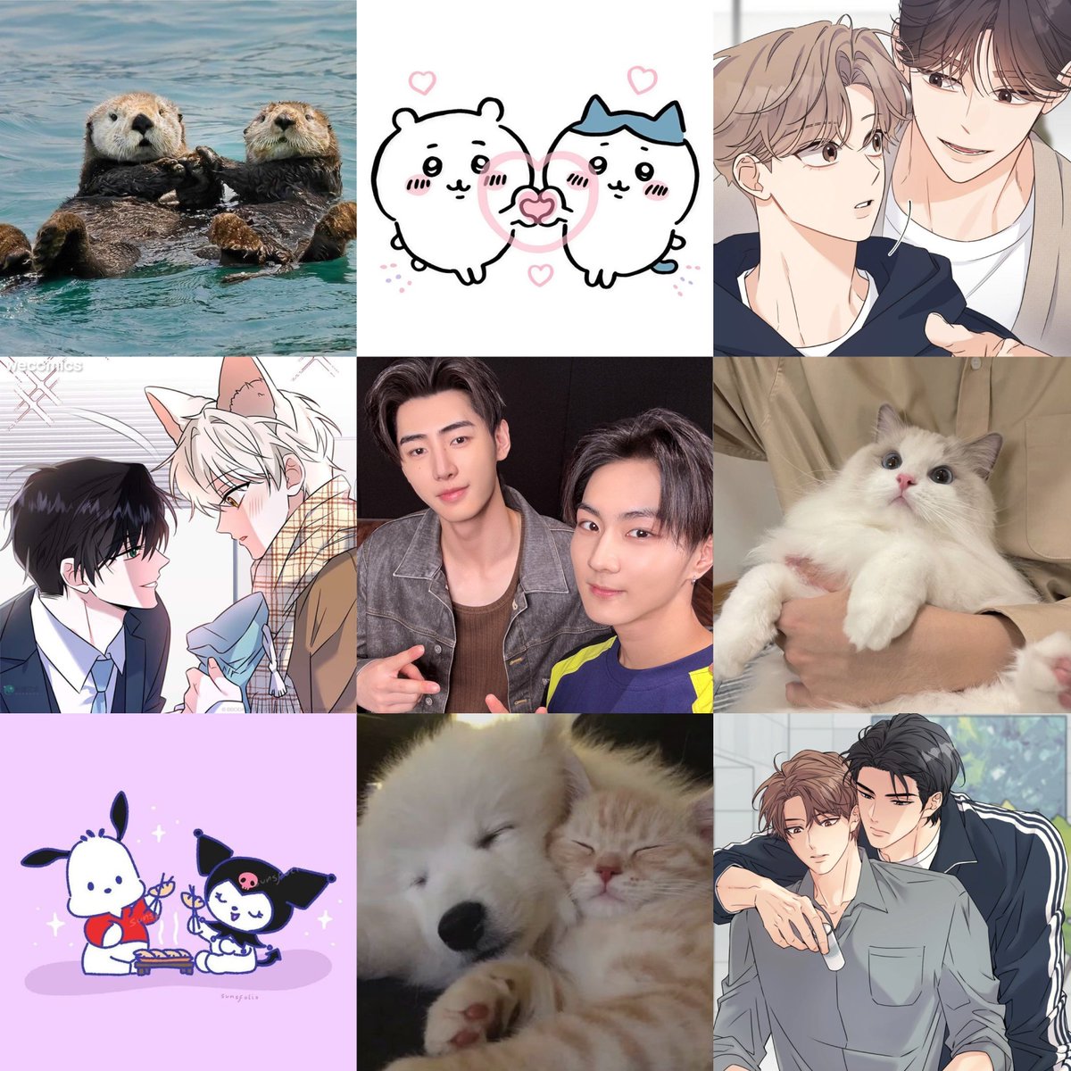 모찌중원 🐈 tweet media