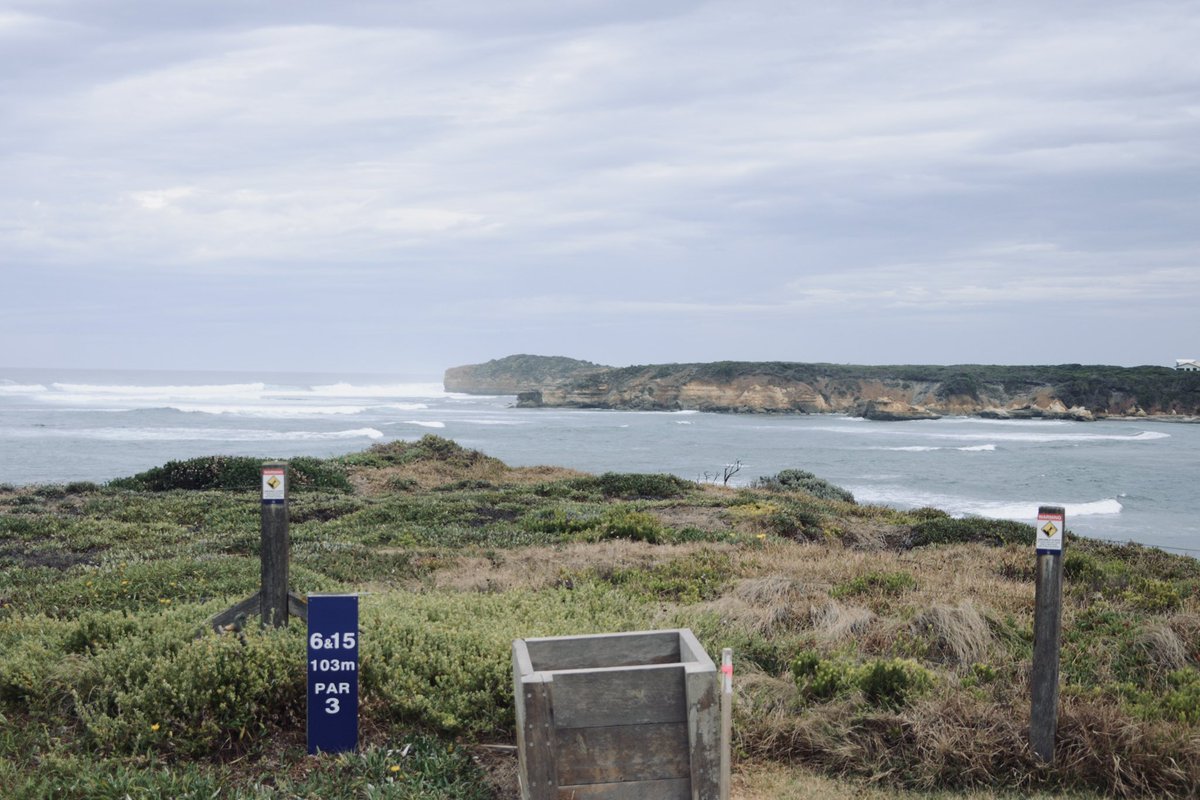 Alex Strauch tweet media