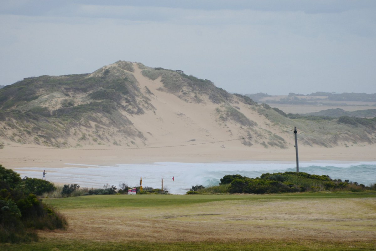 Alex Strauch tweet media