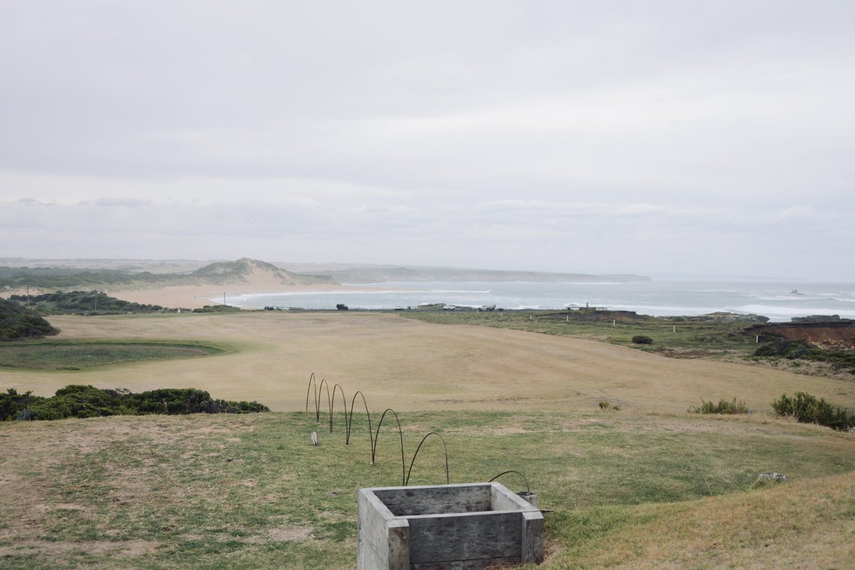 Alex Strauch tweet media