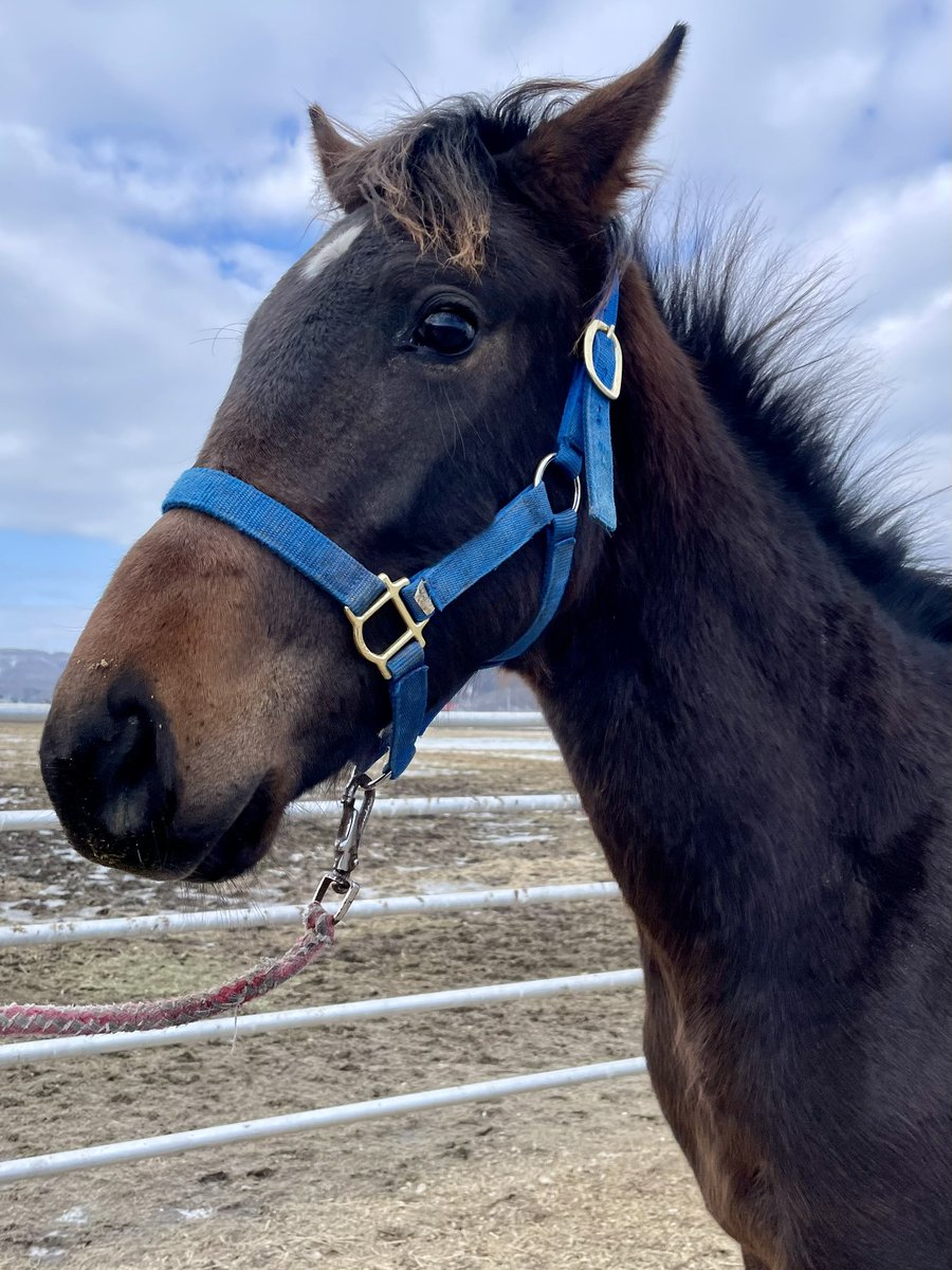 西山茂行 (@seiun0005) / Highlights / X