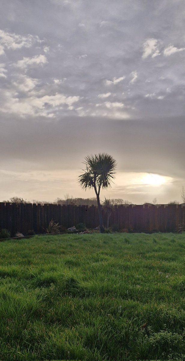 Miss Moneypenny tweet media