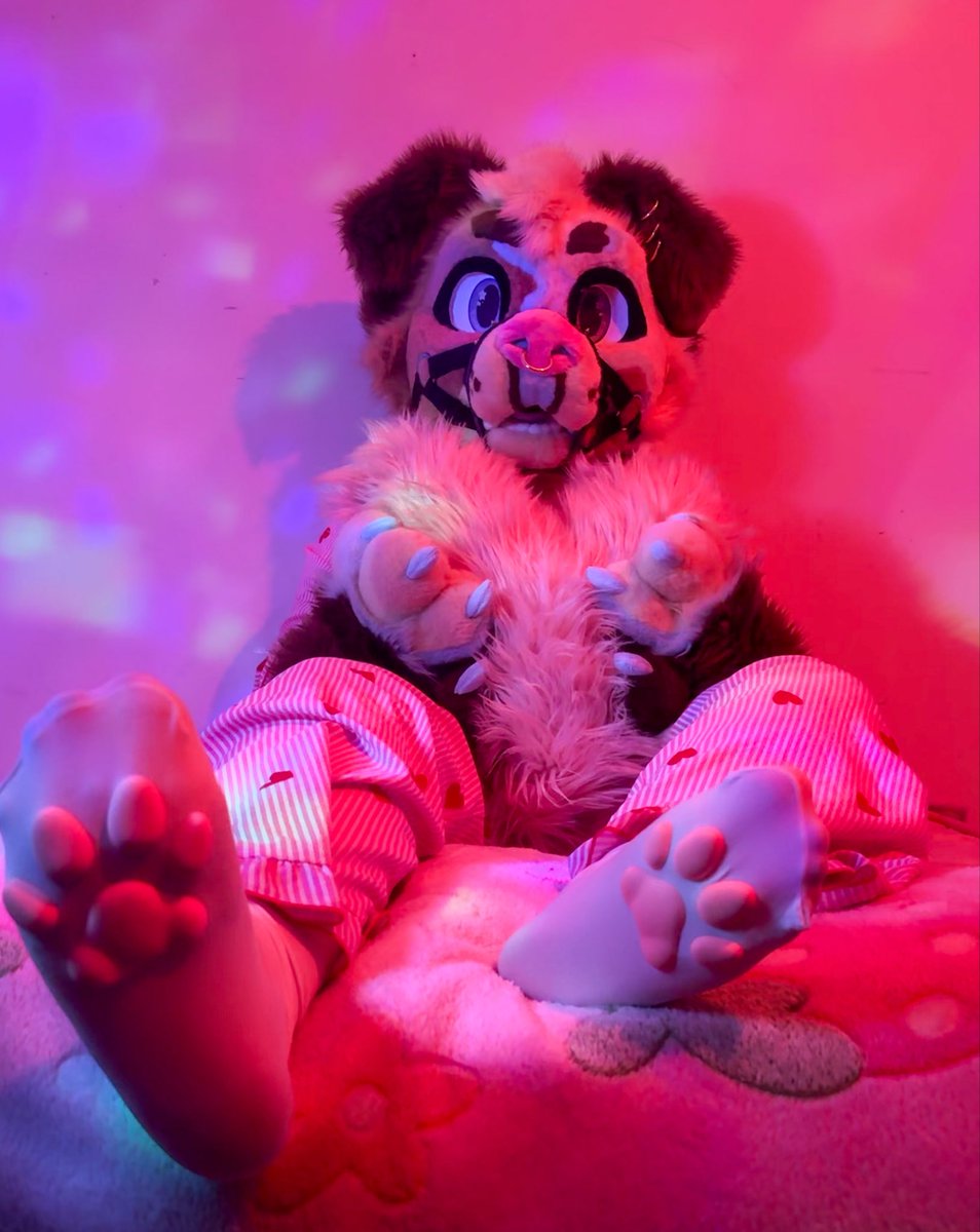Mochi (@_mochipup) / Posts / X