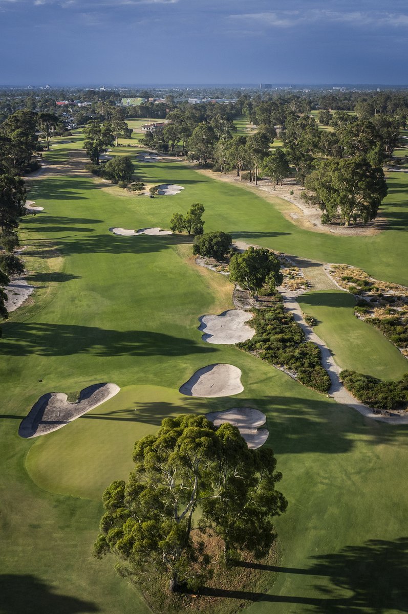 Commonwealth Golf Club tweet media