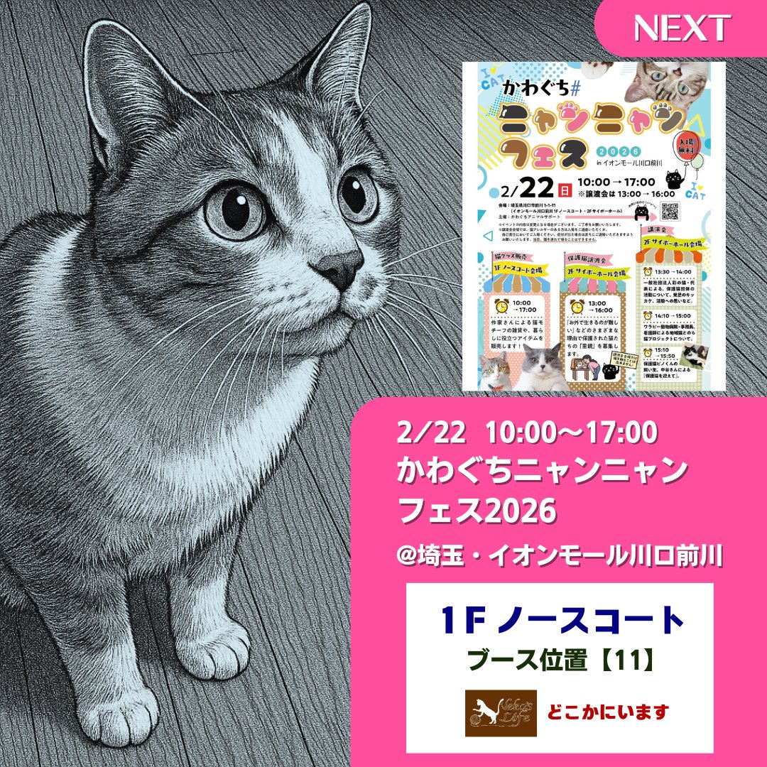 2026年の初出展は【猫の日ウィーク】です。 😺2/21～22「浅草ねこねこ