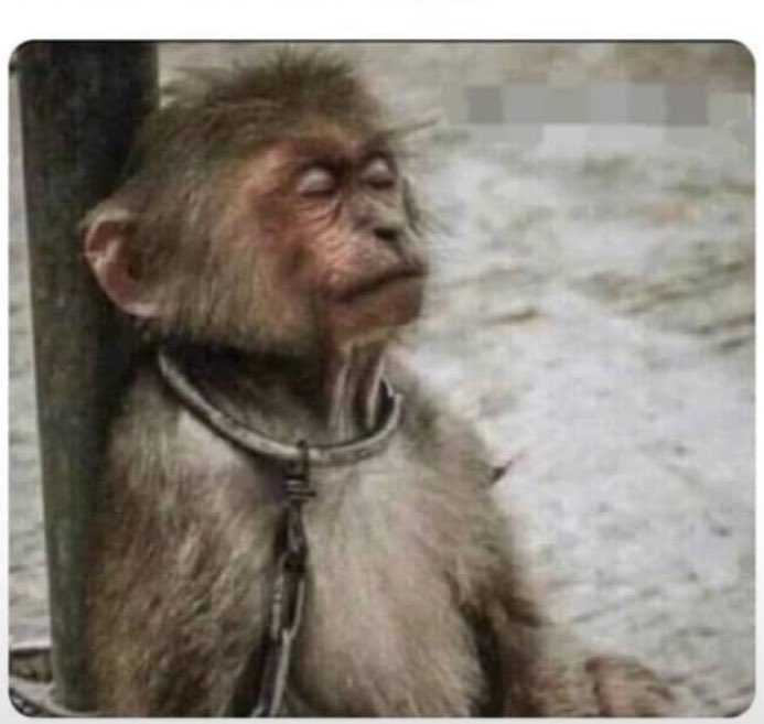 Pius Titus tweet media