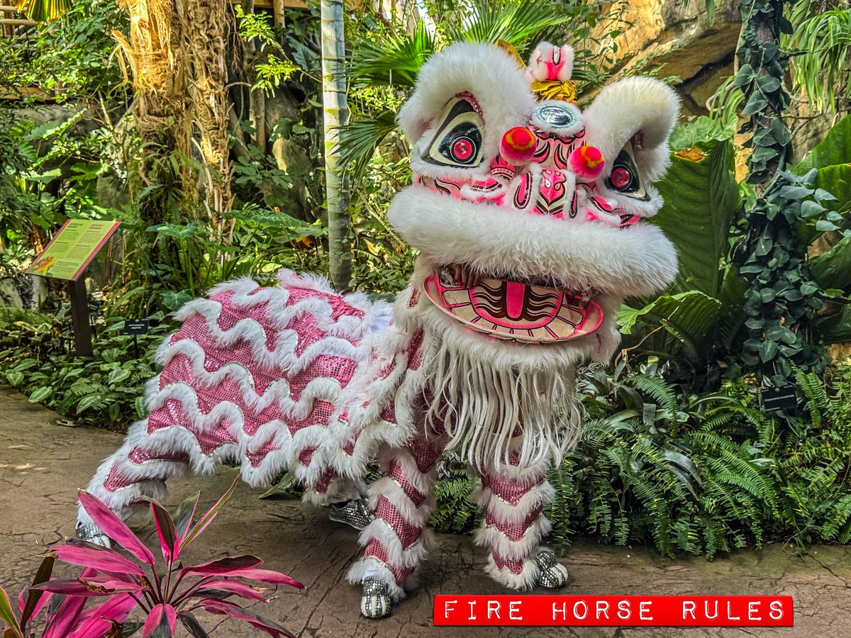 ❤️BLESSINGS TO ALL FOR ALL